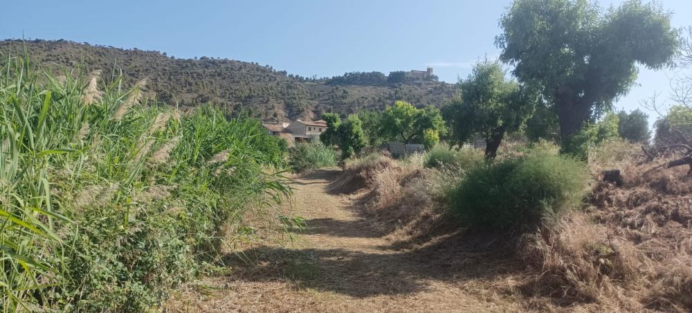 Imagen Salas Altas sigue limpiando caminos vecinales