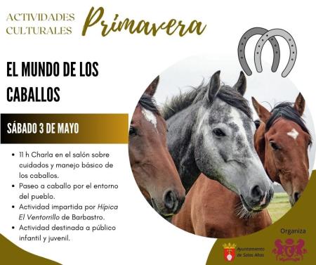 Imagen El mundo de los caballos