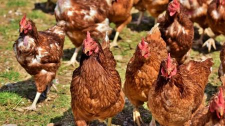 Imagen El Gobierno de Aragón activa medidas obligatorias en toda la comunidad...