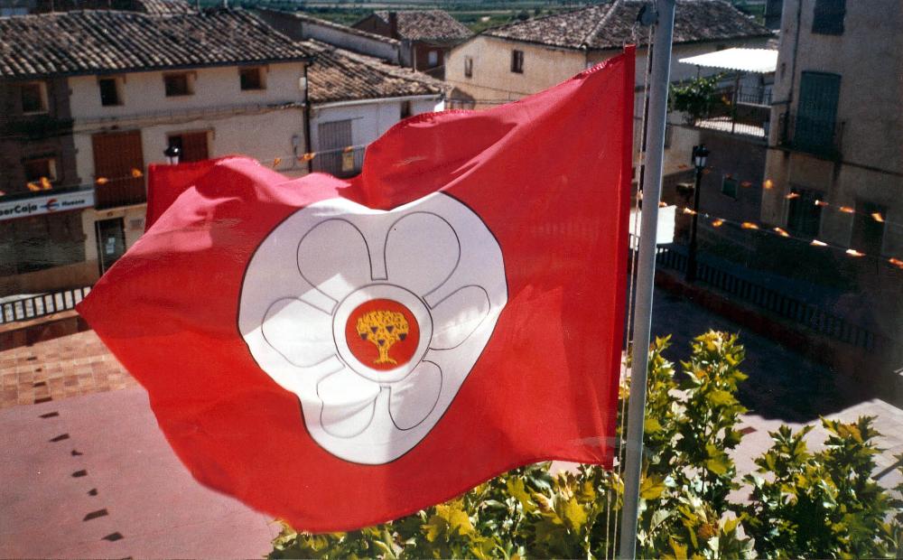Imagen: Salas Altas. Bandera municipal ondeando