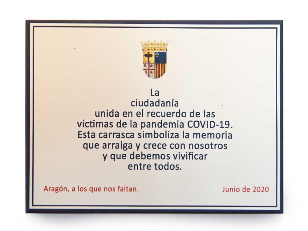 Imagen Homenaje víctimas COVID-19