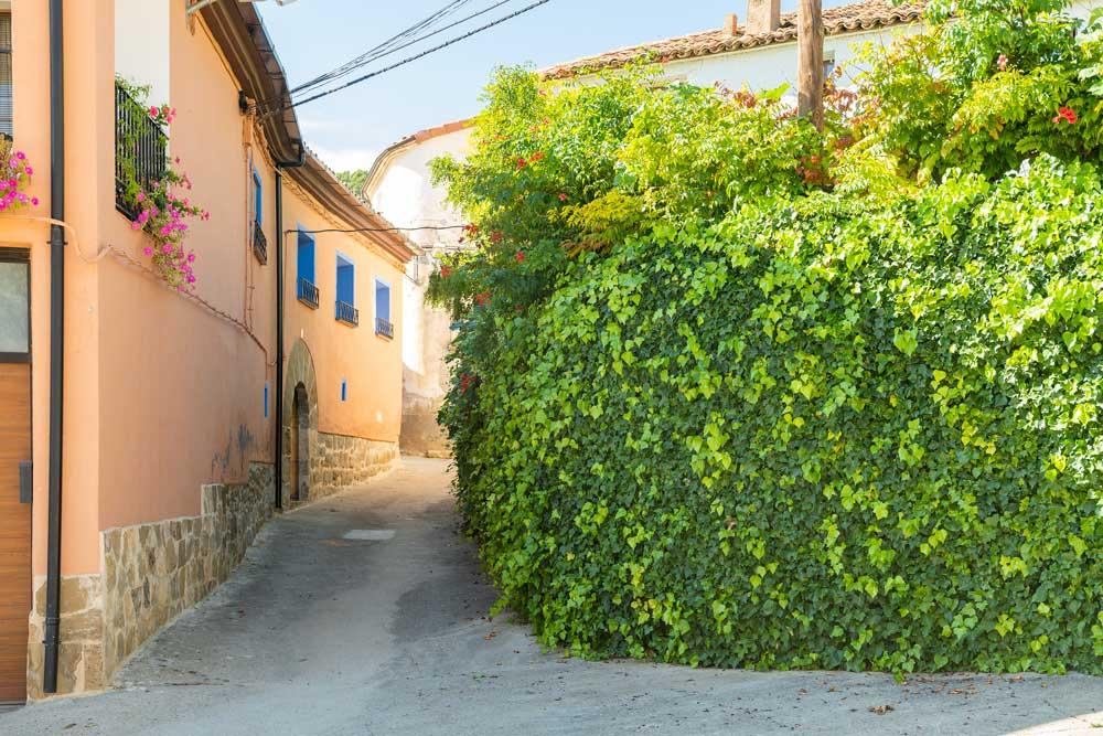 Imagen Proyecto Pueblos Vivos